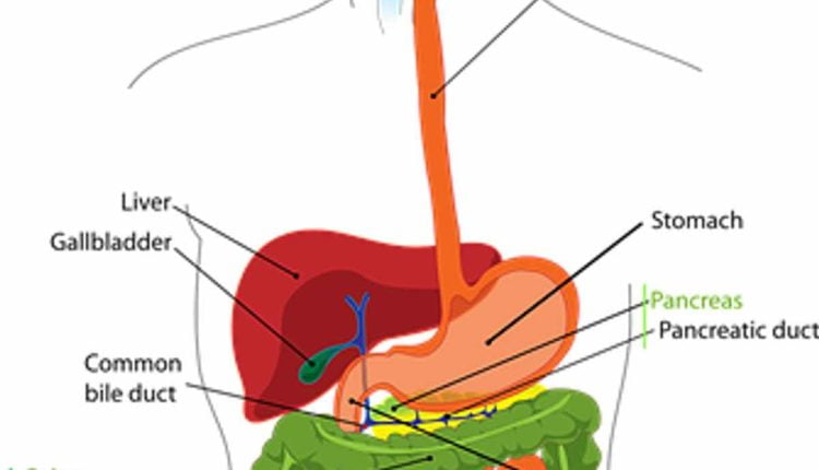 Gallbladder Removal