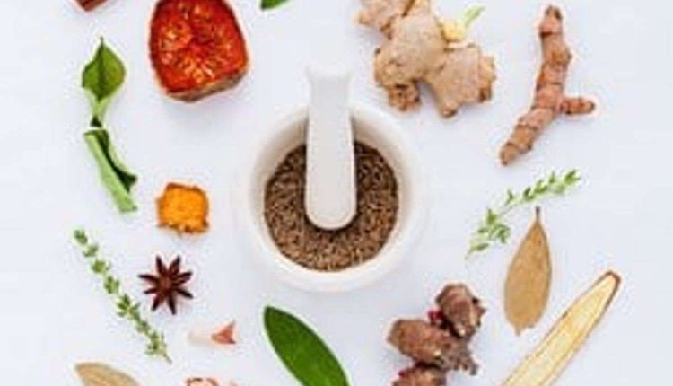 What Is an Herb