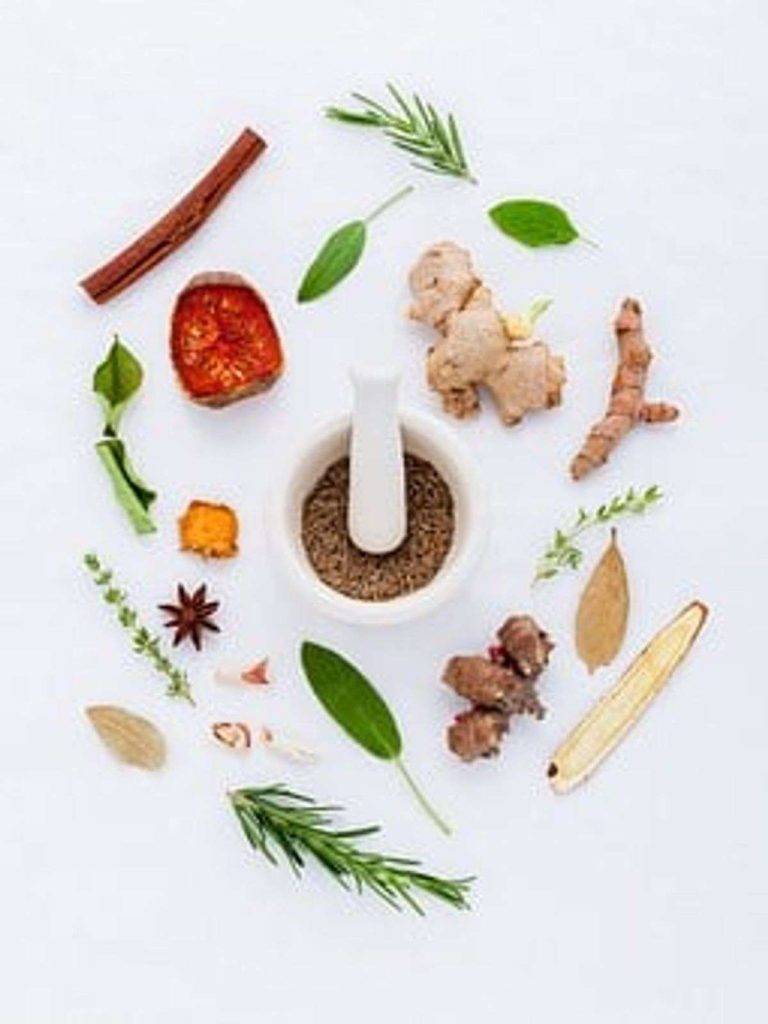What Is an Herb