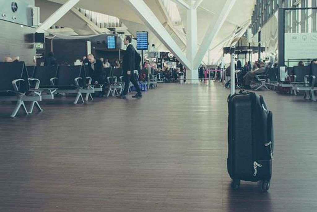 solgard luggage