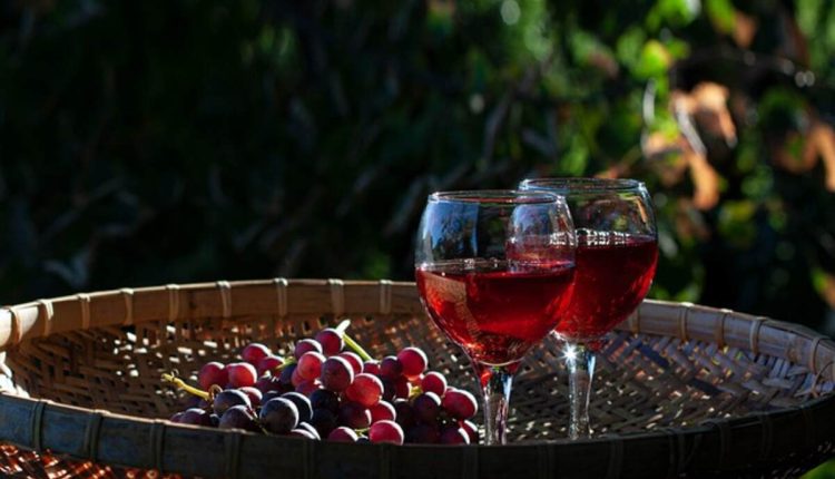 High-Quality Organic Wines