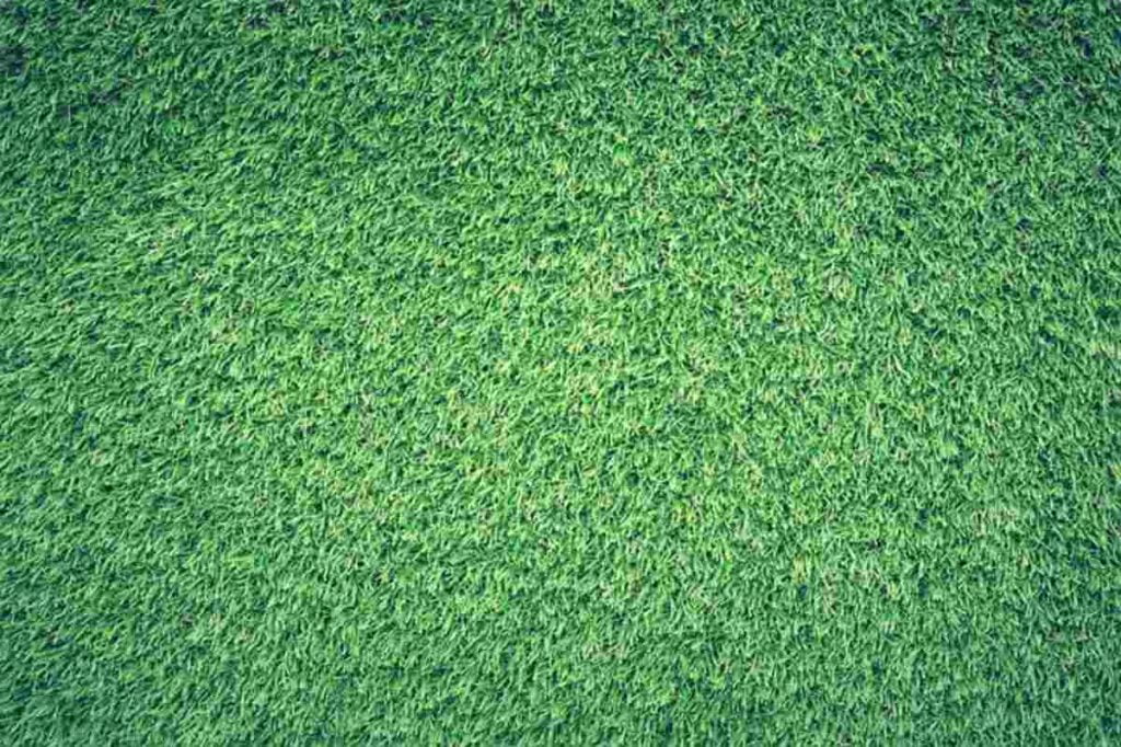 Install Sod For an Instant Lawn