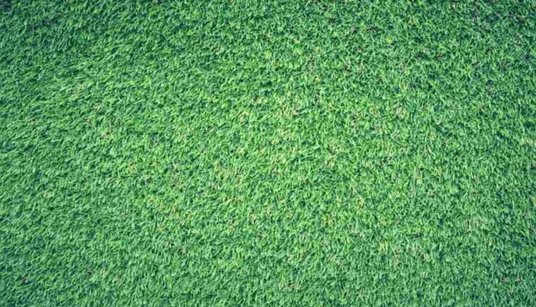 Install Sod For an Instant Lawn