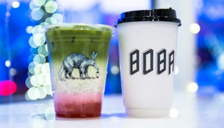 Beary Boba