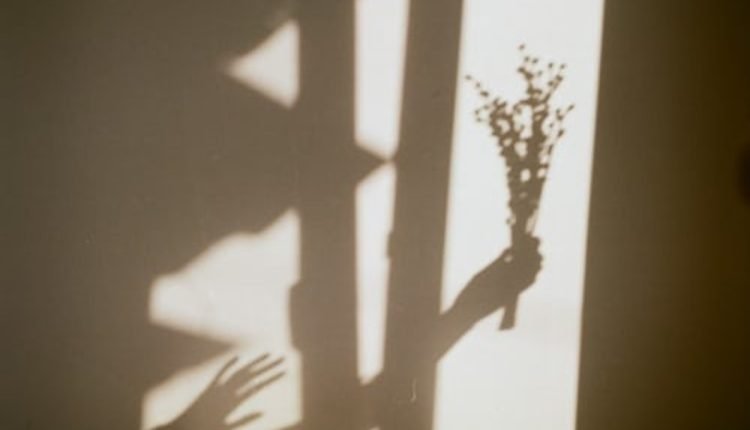 vacuum insulating glass