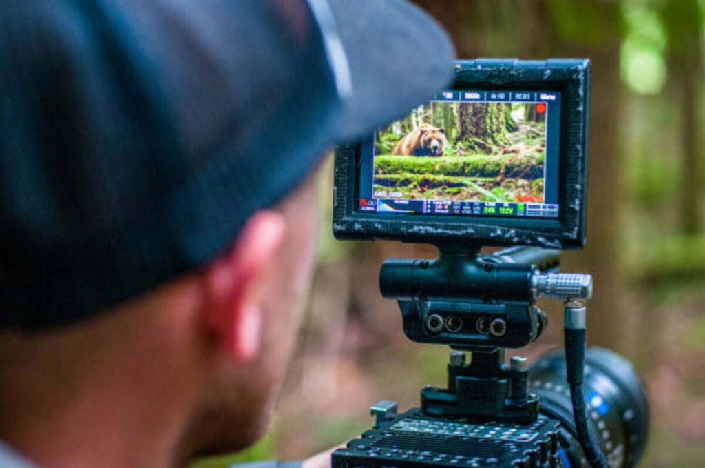 wildlife camera