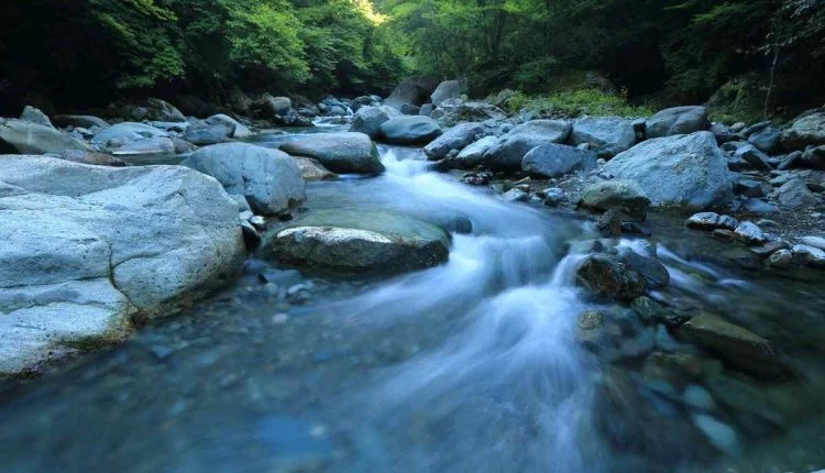 Eerd River