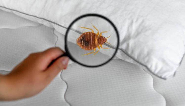 Whittier Pest Control