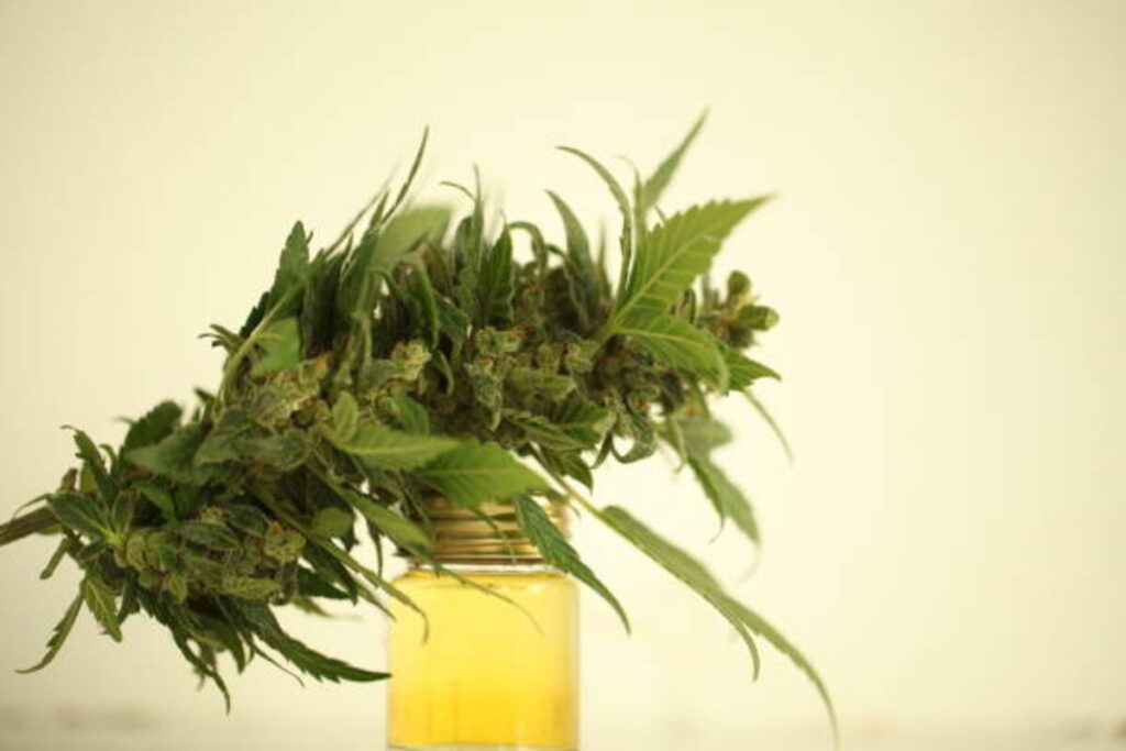 Using Trainwreck Kratom Safely