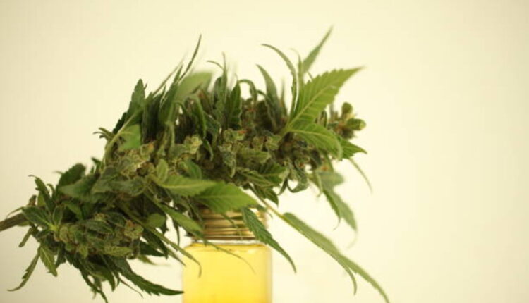 Using Trainwreck Kratom Safely